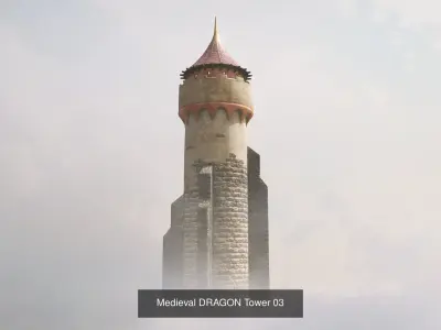 Medieval DRAGON Towers 3D Model Pack