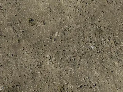 Compact Gravelly Mud with Moss Flecks  Texture