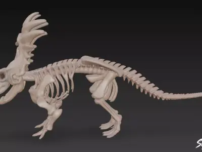 Styracosaurus fossil Low-poly 3D model