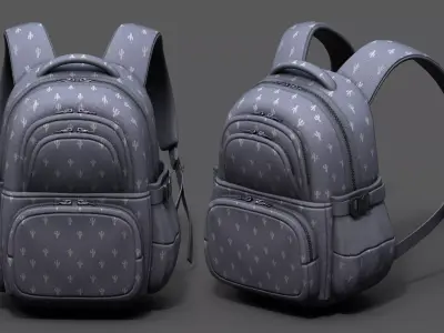 Backpack bag baggage Color 3d low poly  Low-poly 3D model