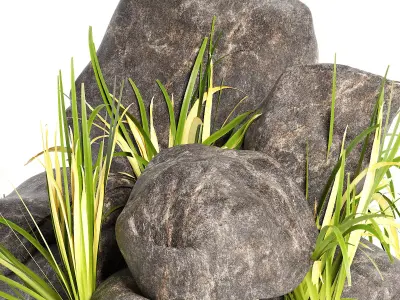 Rock with Grass 3D model