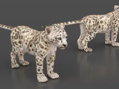  Snow Leopard Cub Playing Animated Rigged 