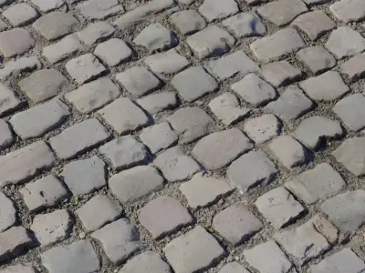 Old Town Cobblestone With Soil Joints PBR Texture  Texture