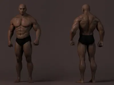 Male Base Muscle Rig Low-poly 3D model