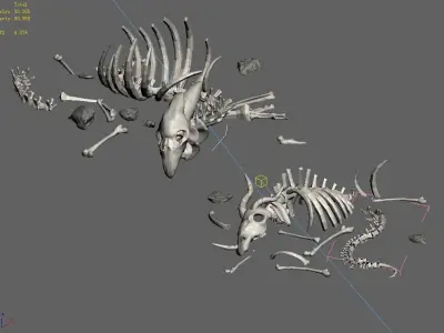 Sea bottom - animal wreckage 06 3D model