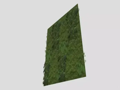 High Precision Ivy Plant Green Wall  3D model