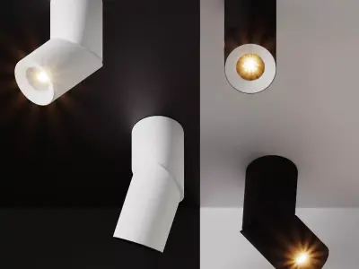 Ceiling Lamps CENTRSVET 17 3D model