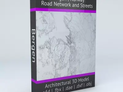 Bergen Area Road Network and Streets 3D model