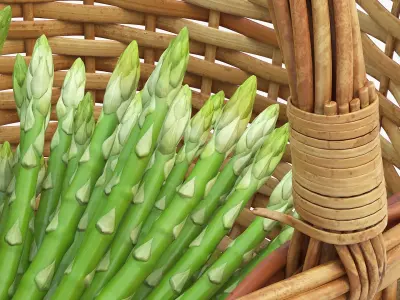  Asparagus Spears Big Collection 