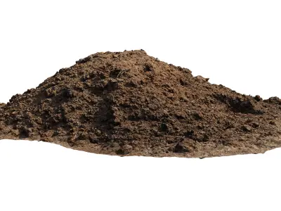 Pile of manure Low-poly 3D model