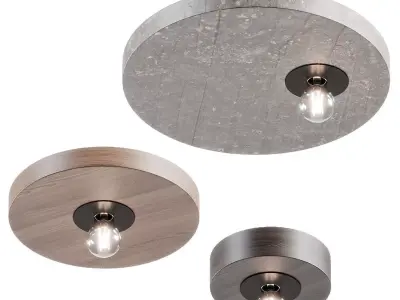 Dark Rond Ceiling Lamps 3D model