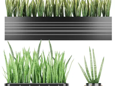 Large Collection plant vol 1 3D Model Pack