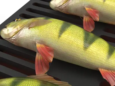  Portable Charcoal Fish Grill Black 