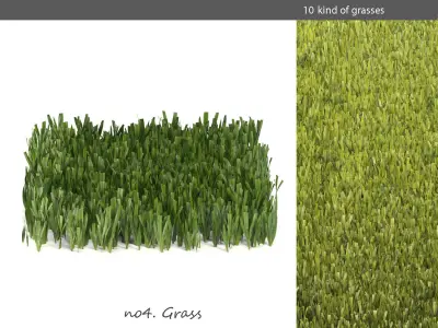 Grass garden - grasses 3D model