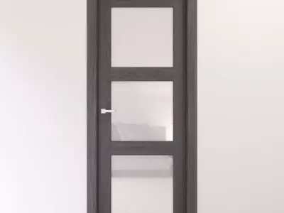 Gray oak interior glass door 3D model