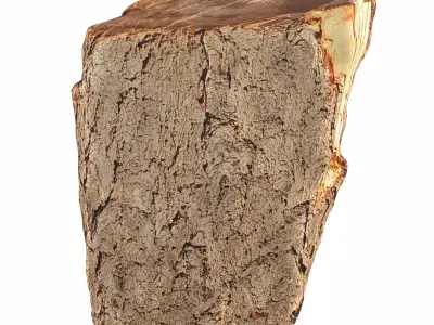 trunk 101 3D model