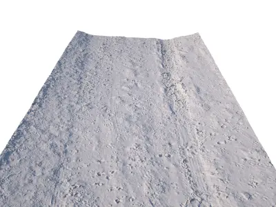 Dirt Road 3D Scan Low-poly 3D model