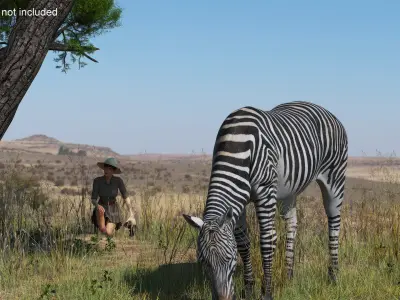  Explorer and Zebra 