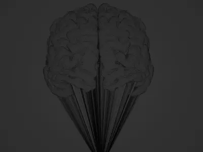 Brain Hologram Animated 3D model