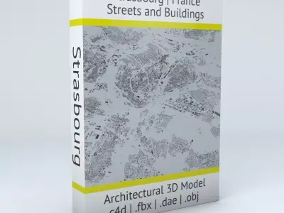 Strasbourg Streets and Buildings 3D model
