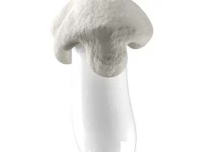 Pendant illuminated sculpture Low-poly 3D model