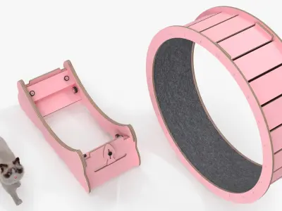  Ragdoll Cat Walking on Exercise Wheel Fur for Cinema 4D 