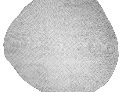 Azalea Marble Carpet Low-poly 3D model