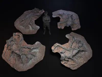 Beech forest ground - 3 of 6 - scan PBR Game ready Free low-poly 3D model