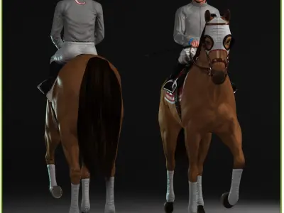  Racehorse and Jockey 