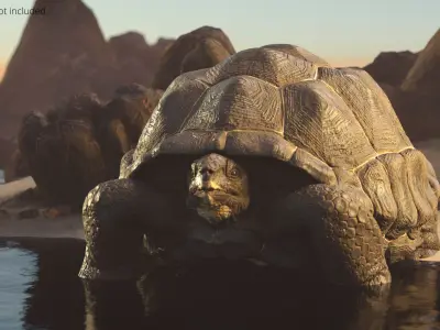  Turtle Chelonoidis Niger Walking Animated Rigged for Maya 