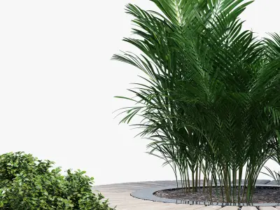 RING REVERSE 3D model