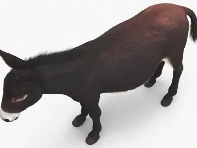  Farm Animals Big Rigged Collection 4 