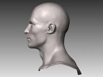 Realistic White Male Head 3D model