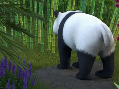  Giant Panda 
