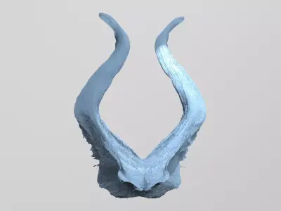 Asteroid moon Horn  3D model