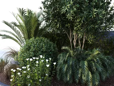 Group of outdoor Trees- Plants 3D model