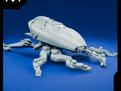 Beetle A  3D print model