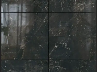 Yurtbay Seramik Carelia Black 300x600 Set 2 3D model