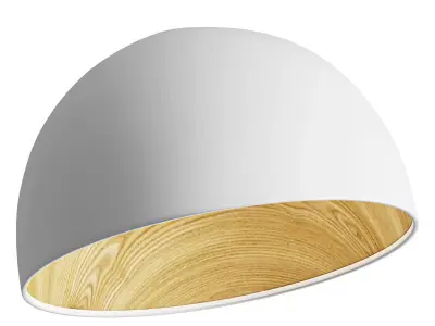 Duo Slanted Ceiling Lamp 3D model