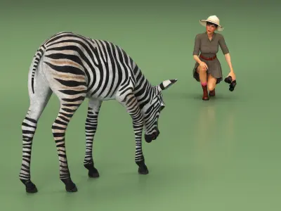 Explorer and Zebra Foal 