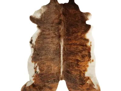 Rustic Living Rug 3D model