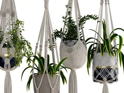 macrame plant hanger 3D model