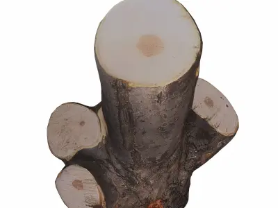 trunk 104 3D model purchase