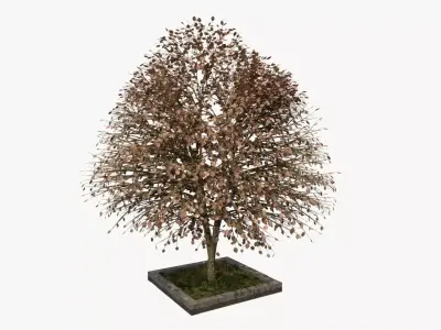 URBAN Autumn TREE Free 3D model