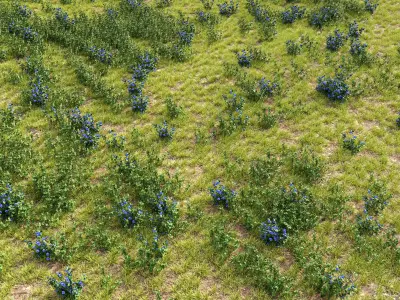  meadow spring  3D model