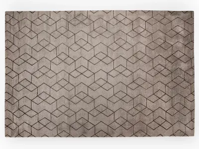 Hex 2 Carpet 3D model