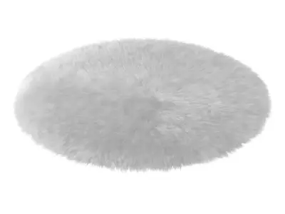 Round White Rug 3D model