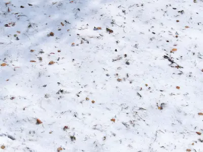 Snow with autumn leaves 3D model