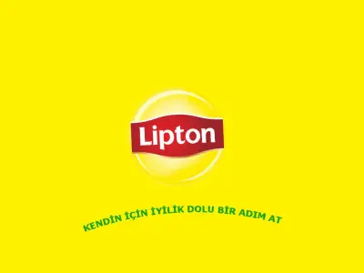 inflatable tent Low-poly 3D model