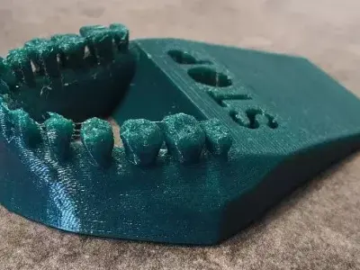 Bite Grip Door Stop Wedge  3D print model